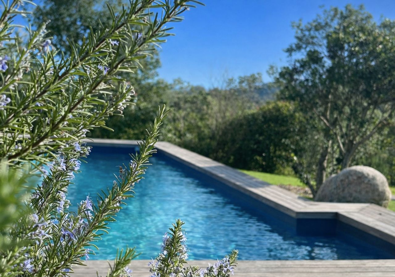 Piscine romarin